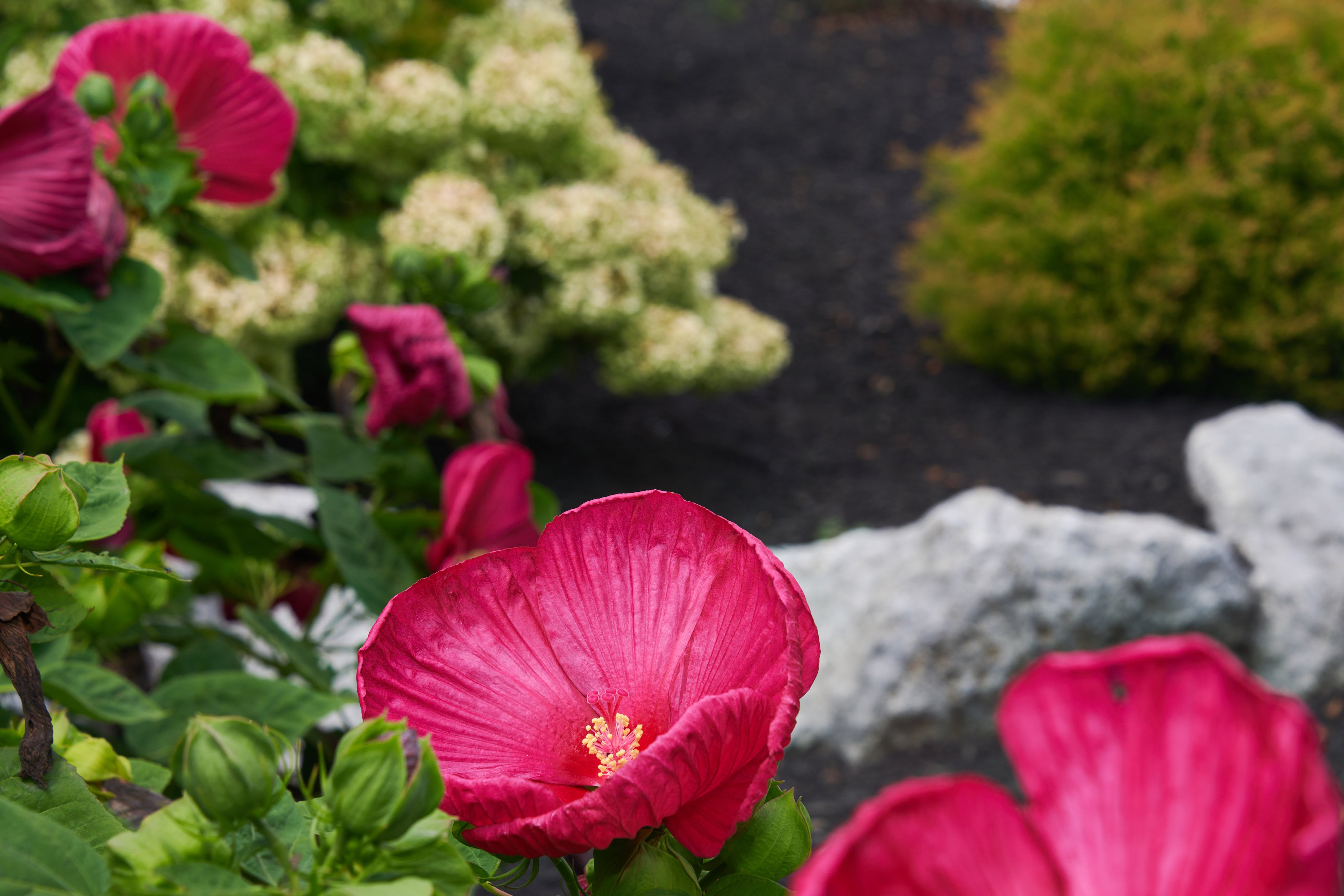 2023-8-18-GRUNDER-10