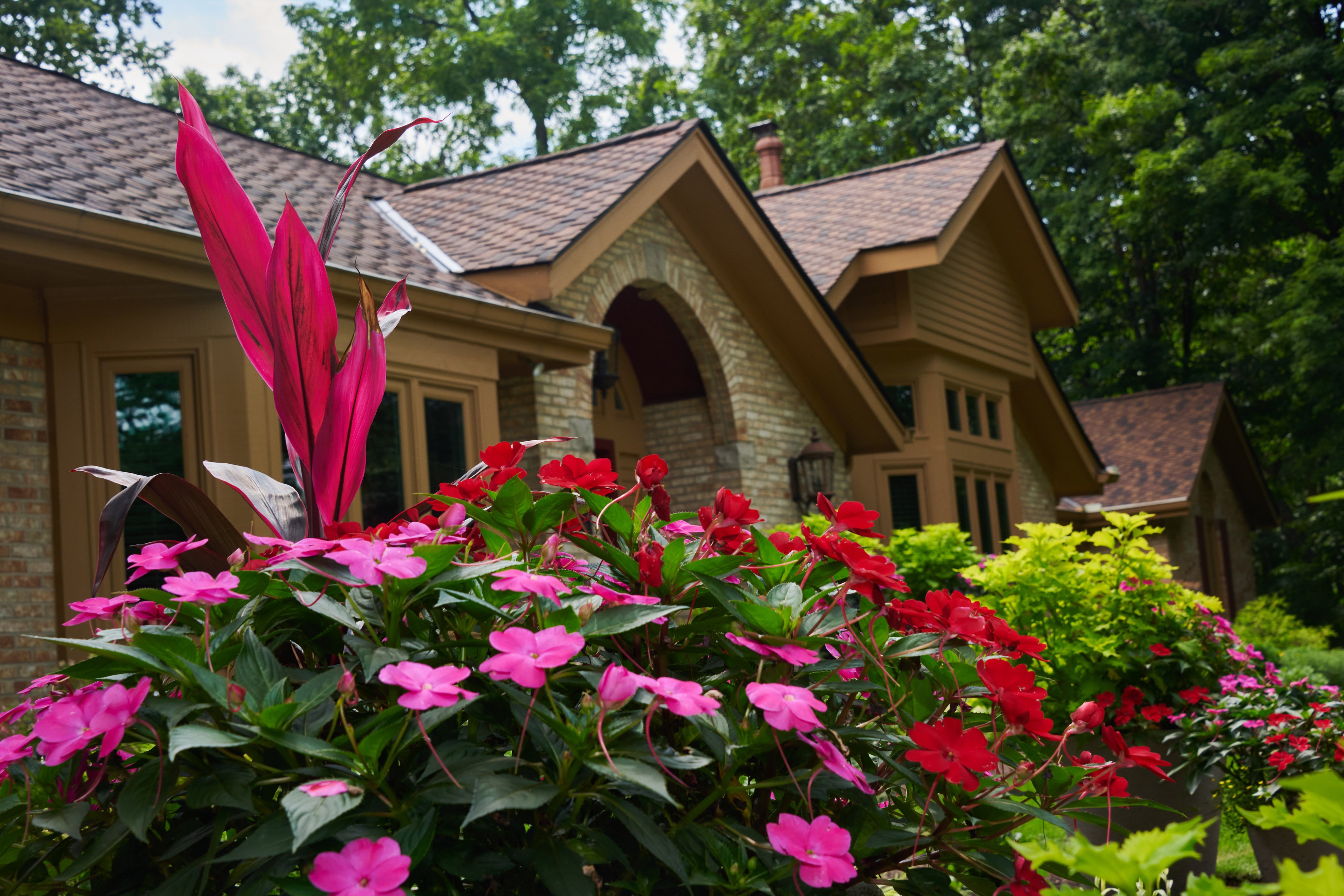 Landscaping project featuring pants like cana lily, impatiens, sunpatiens, and other plants 