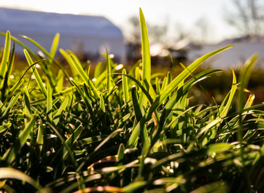 Grow 26 Day 2 Batch 1-24