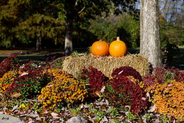 Grunder Green 11-1-23-15