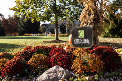 Grunder Green 11-1-23-16