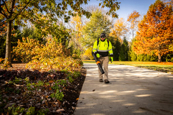 Grunder Green 11-1-23-34