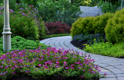 Completed landscaping project