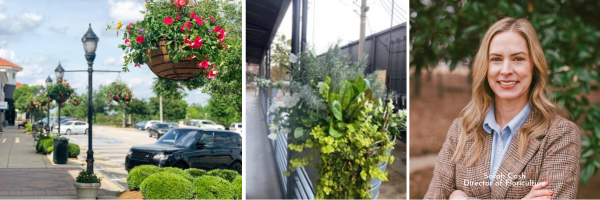 Landscape Workshop - Floriculture (1)