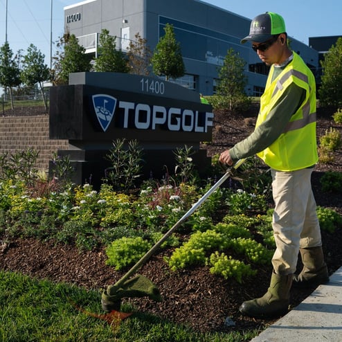 Landscape Workshop - Top Golf