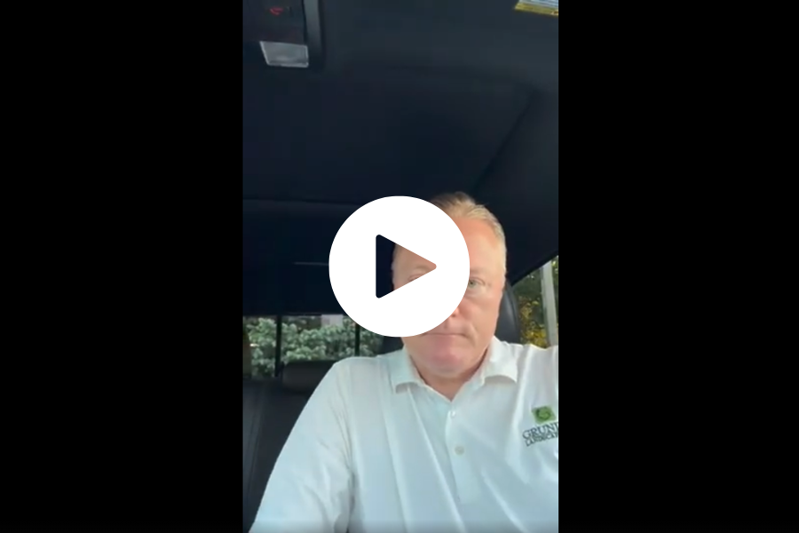 Marty Video Play
