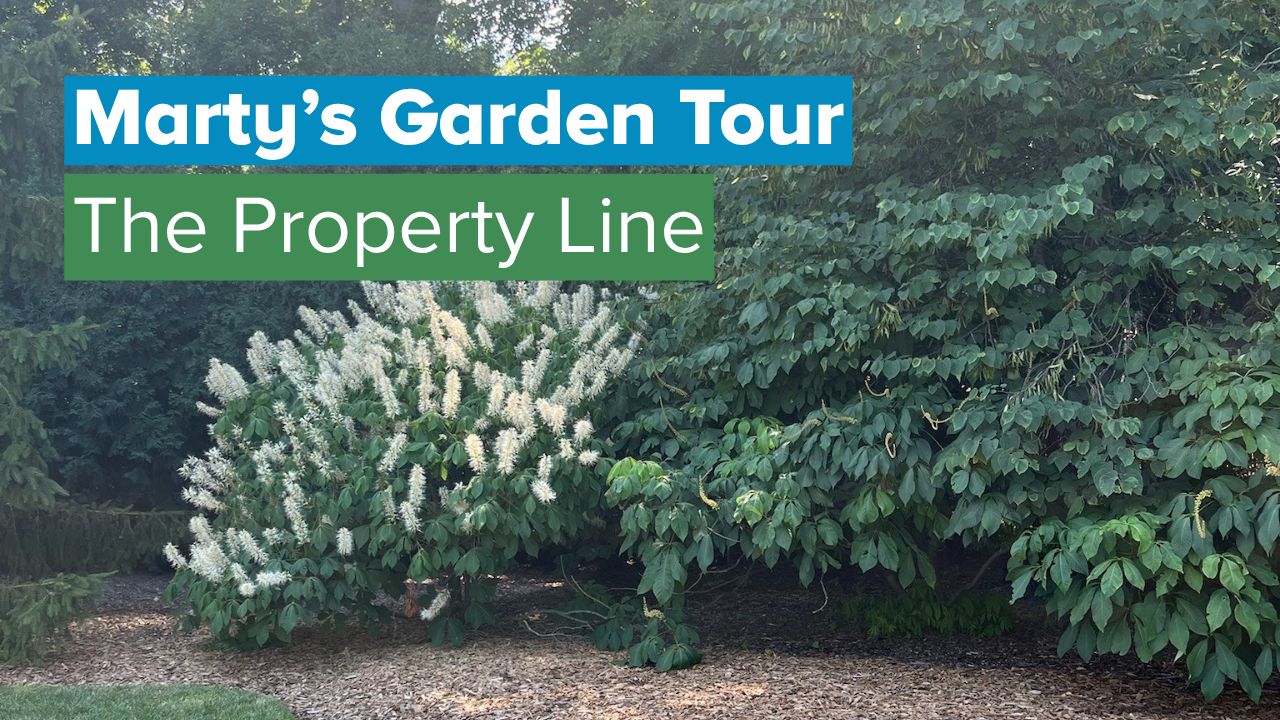 Marty’s Garden Tour