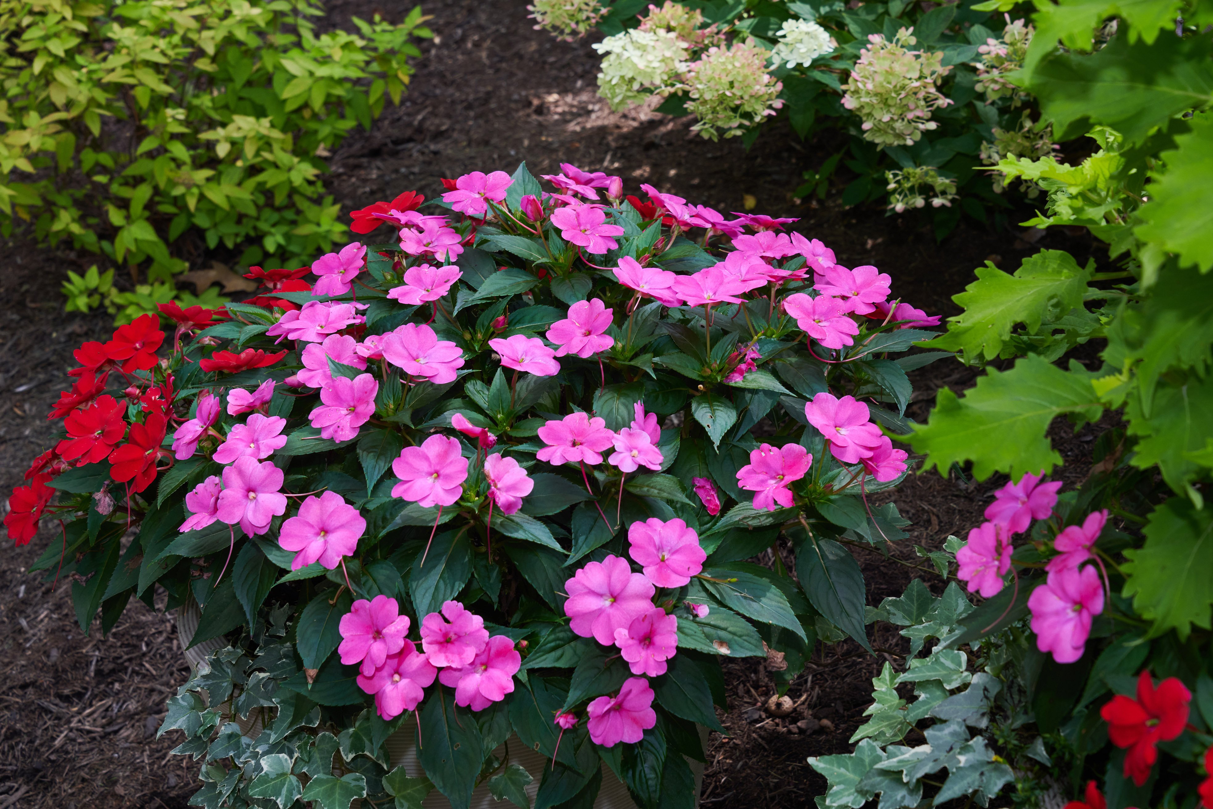 Great Idea: Planning for 2026 Headcount