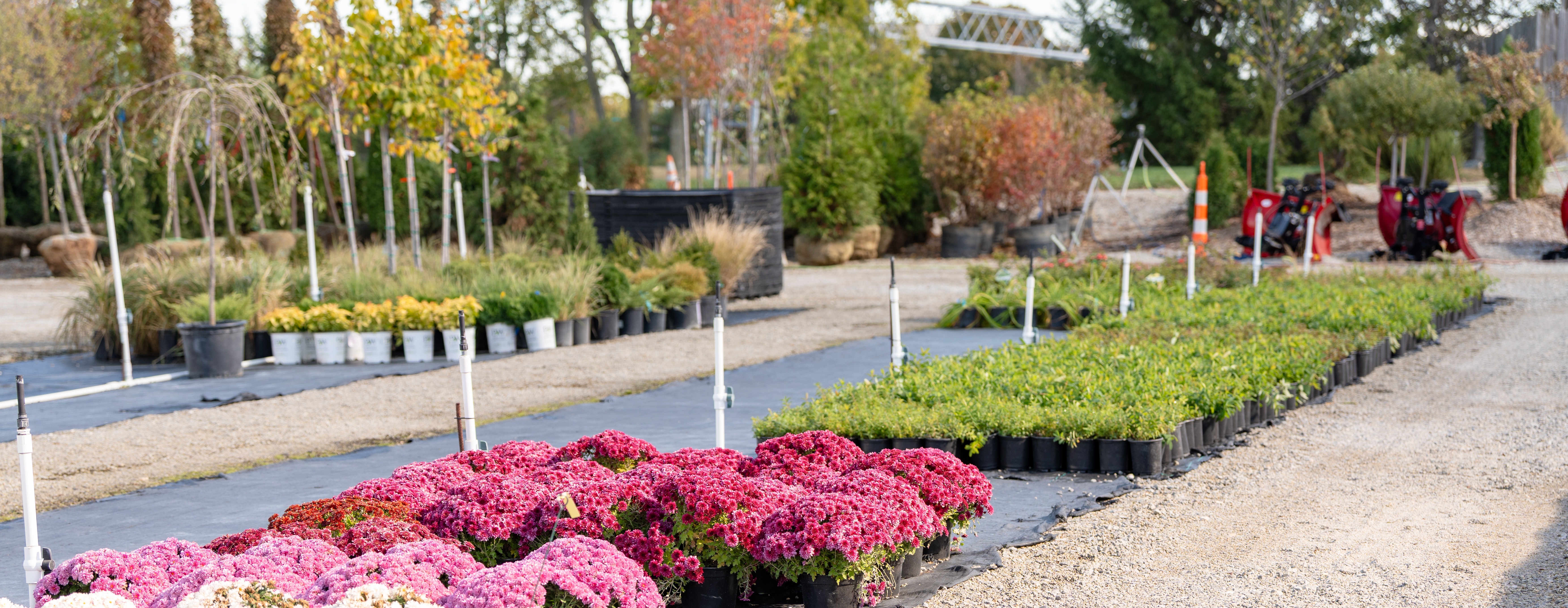 Email Marketing Tips for Landscaping Businesses