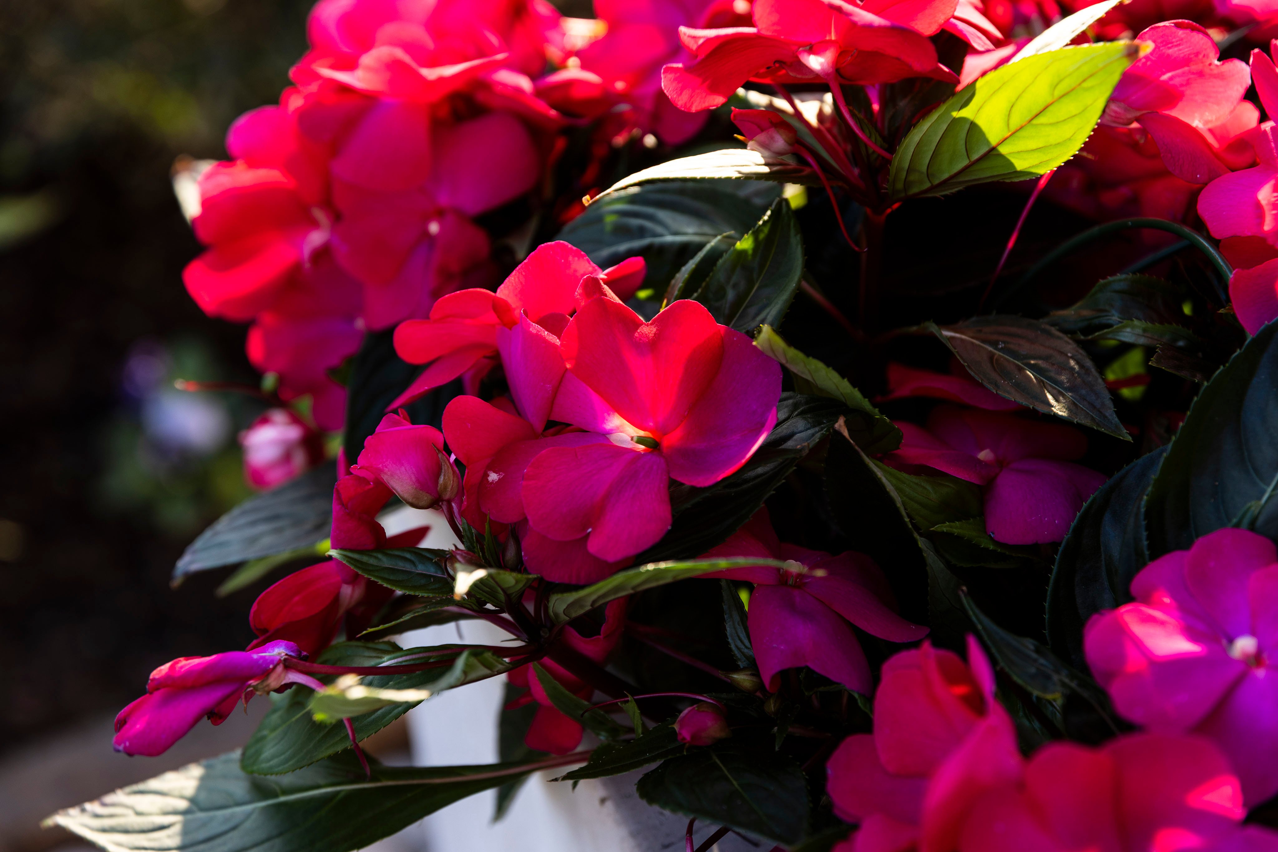 Great Idea: Is SEO Helping Customers Find You?