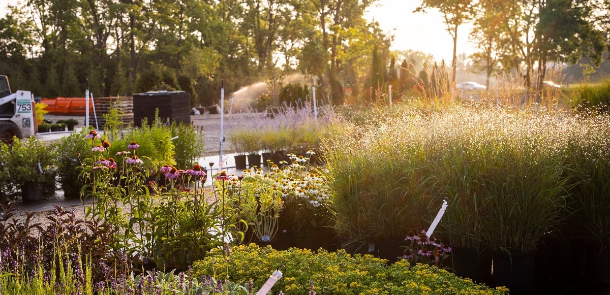 Great Idea: Three Tips to Keep Floral Install Running Smoothly