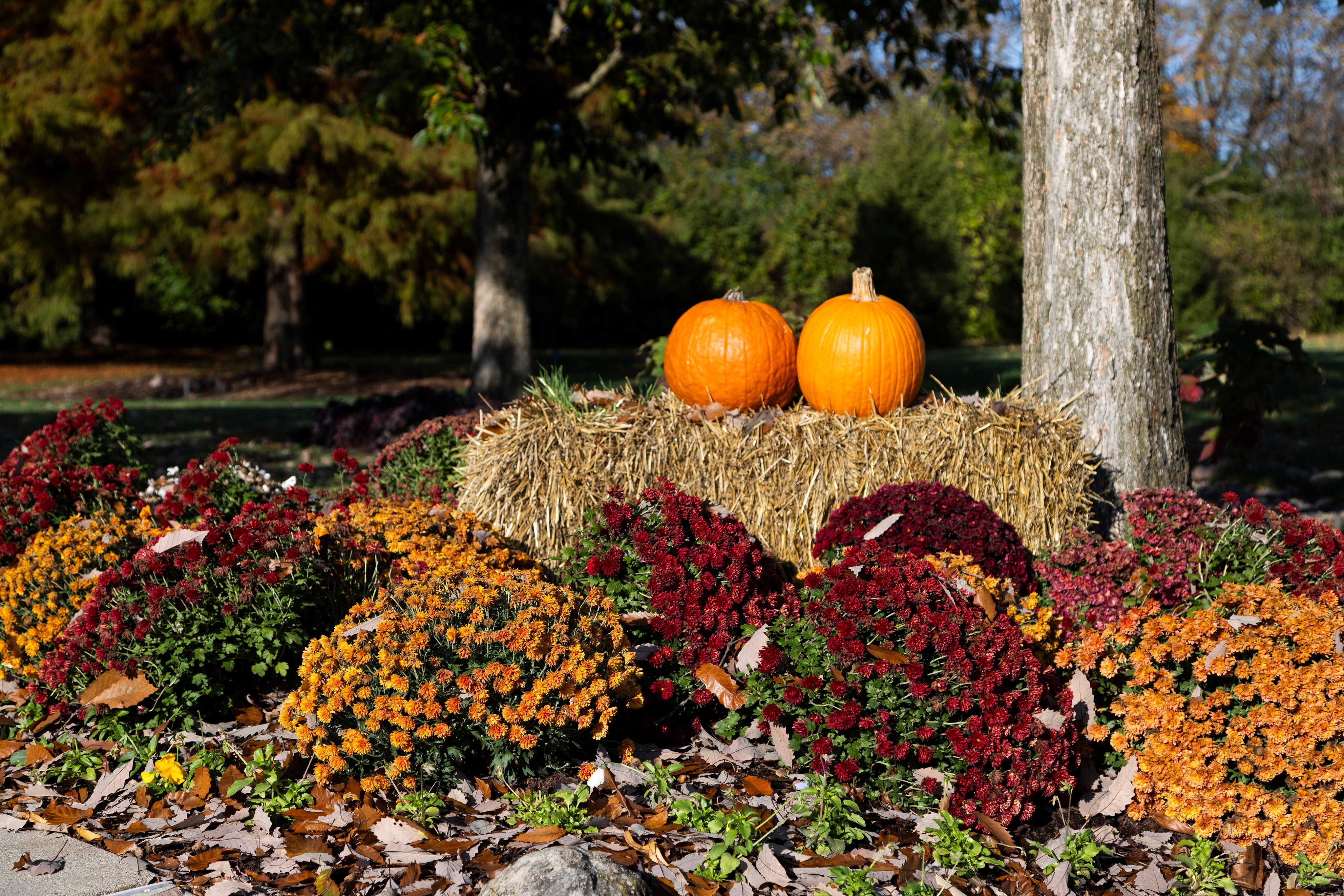 Great Idea: Show Your Team That You're Grateful