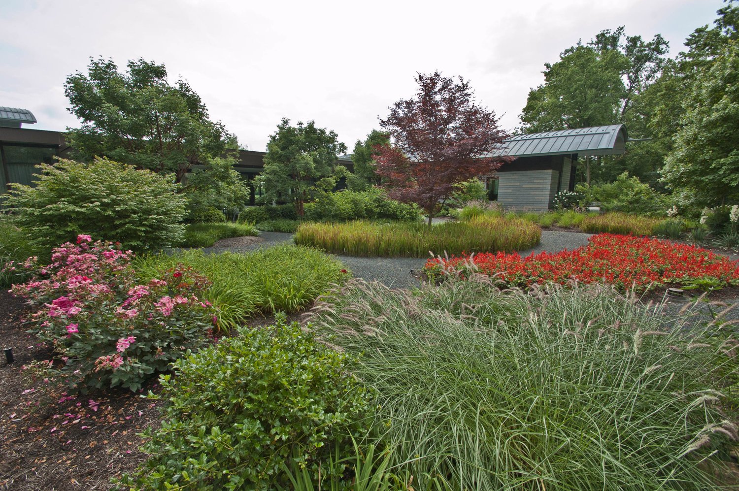 A Good Mentor Is Invaluable