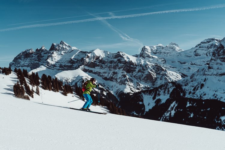 skiing (1).jpg