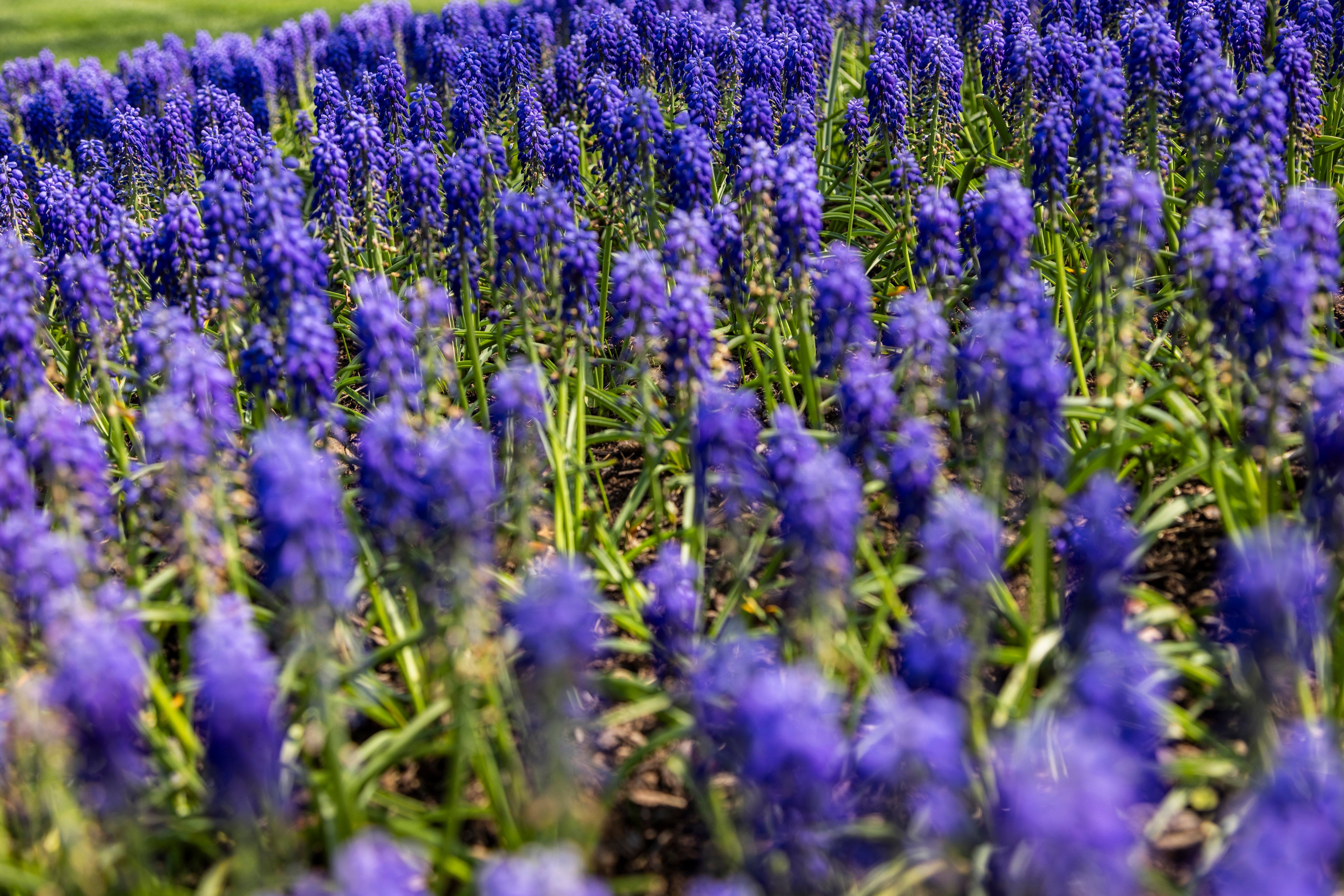 Great Idea: What Does An Owner Do in a Day